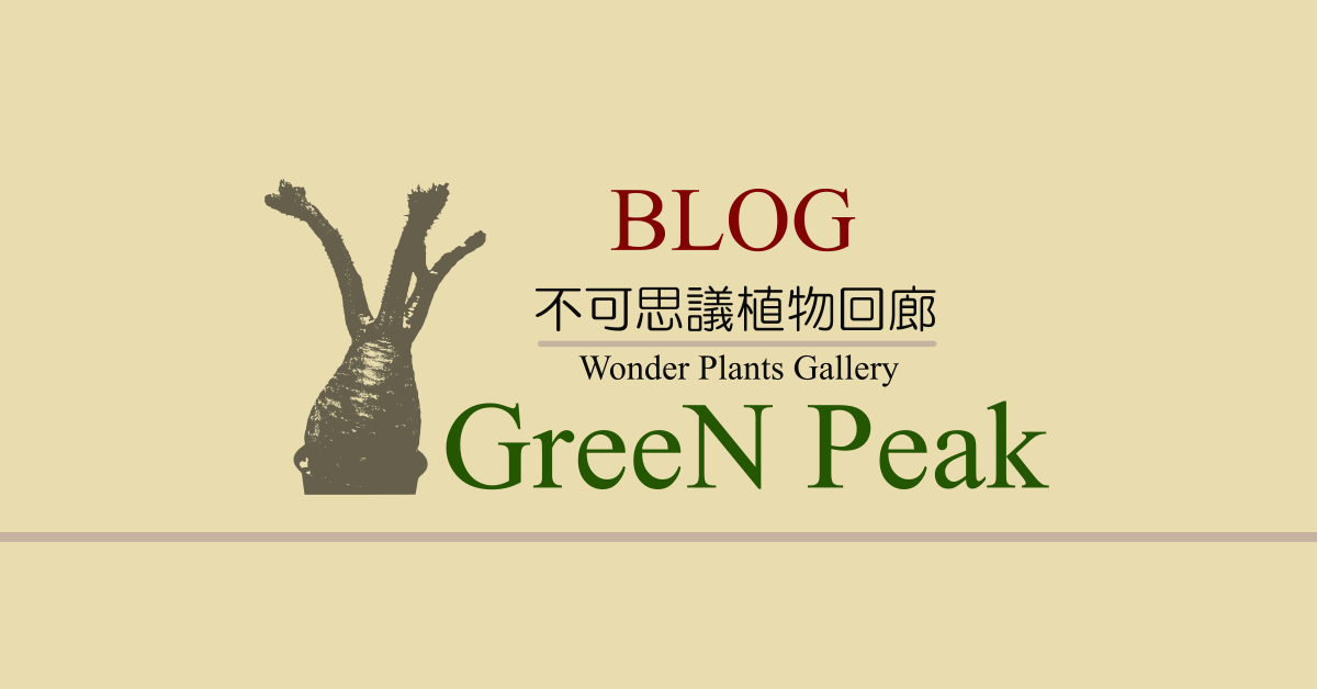 Greenpeak 熊本 blog